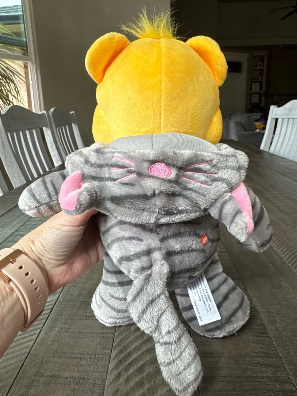 Care Bears - Funshine Bear Kitty Cat Hoodie ‘Unlock The Magic Snuggle’ Friends